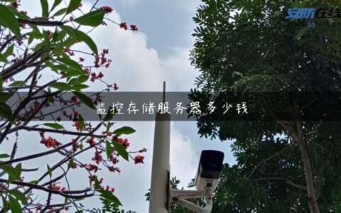 监控存储服务器多少钱