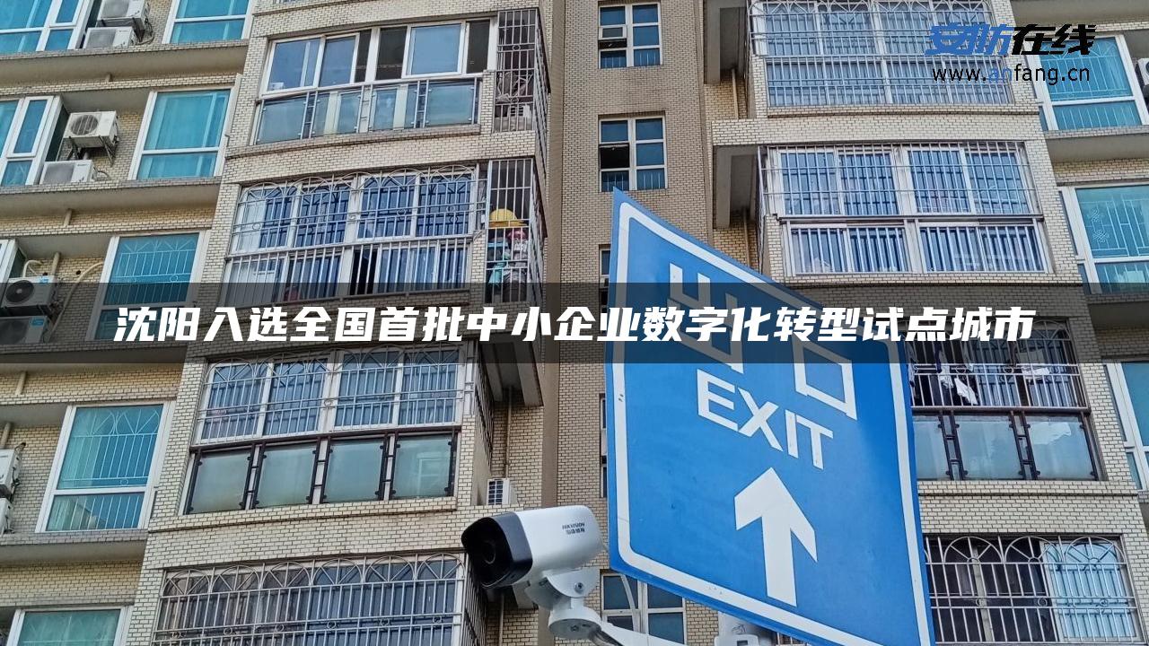 沈阳入选全国首批中小企业数字化转型试点城市