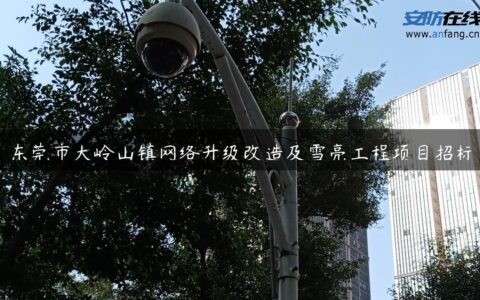 东莞市大岭山镇网络升级改造及雪亮工程项目招标