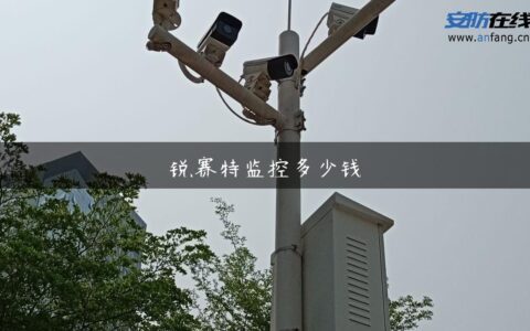 锐赛特监控多少钱