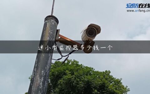 迷小型监控器多少钱一个