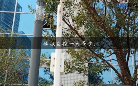 模拟监控一天多少g