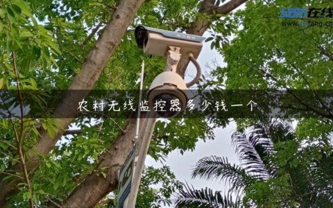 农村无线监控器多少钱一个
