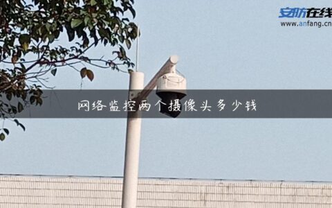 网络监控两个摄像头多少钱