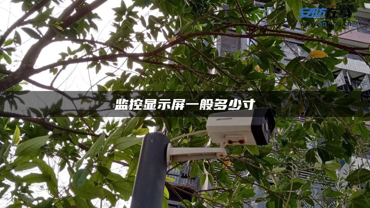 监控显示屏一般多少寸 监控显示屏一般多少寸