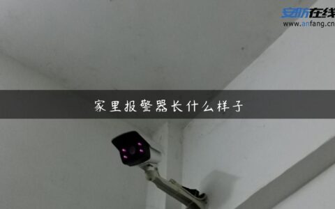 家里报警器长什么样子