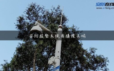 安防报警系统有摄像头吗