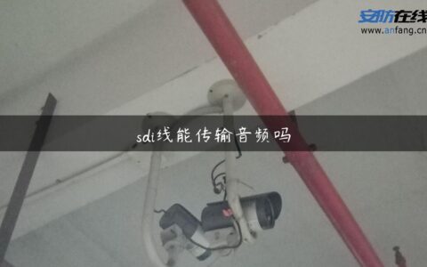 sdi线能传输音频吗