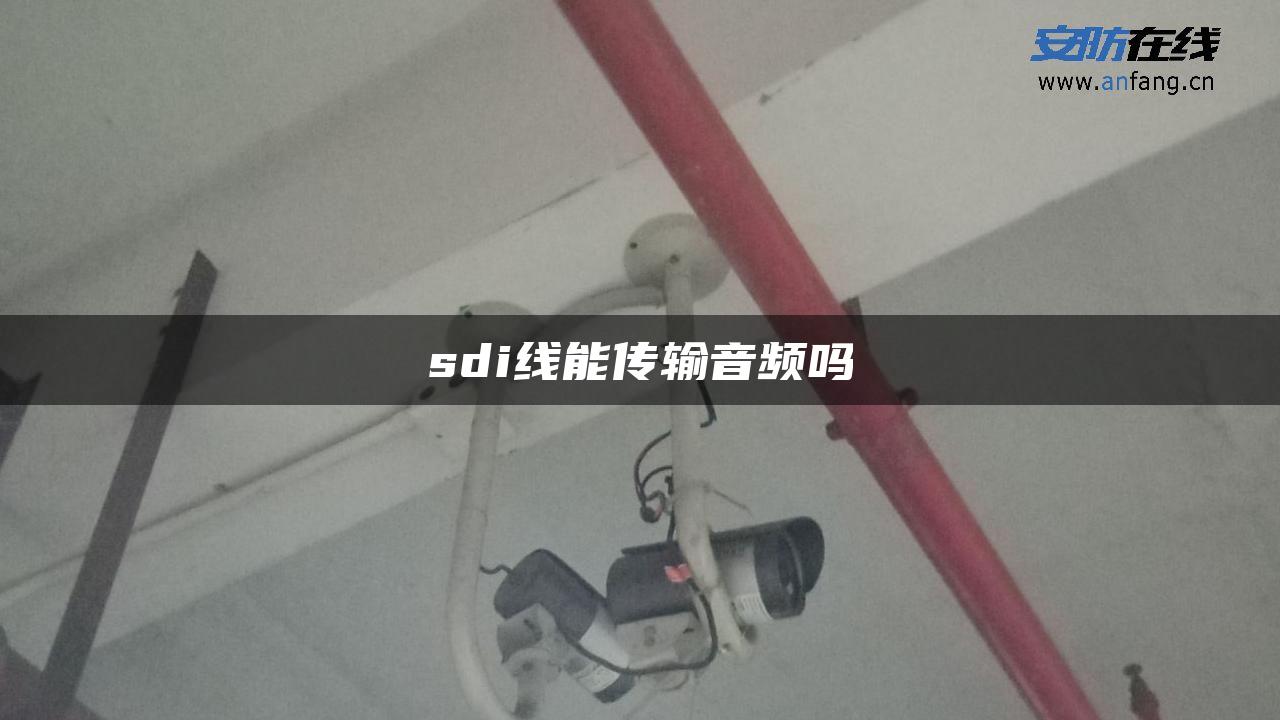 sdi线能传输音频吗