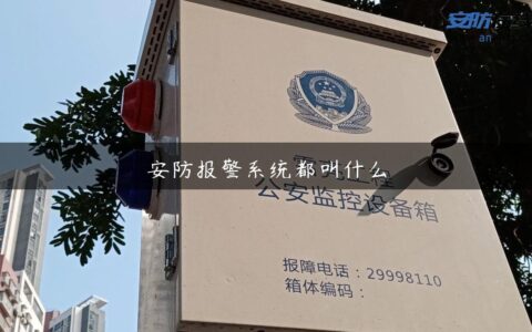 安防报警系统都叫什么