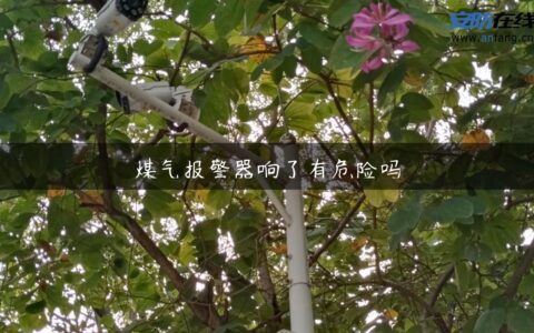 煤气报警器响了有危险吗