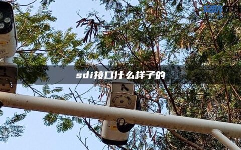 sdi接口什么样子的