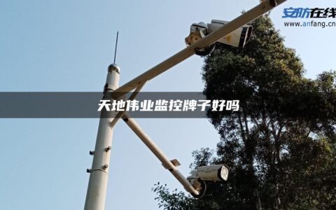 天地伟业监控牌子好吗