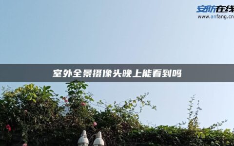 室外全景摄像头晚上能看到吗