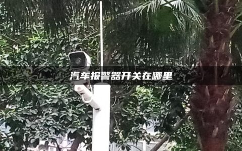 汽车报警器开关在哪里