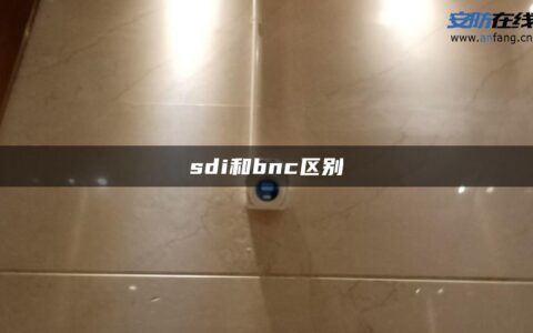 sdi和bnc区别