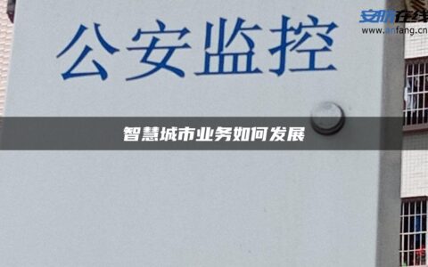 智慧城市业务如何发展
