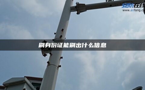 刷身份证能刷出什么信息