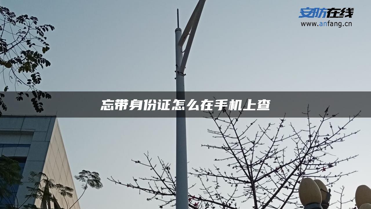 忘带身份证怎么在手机上查