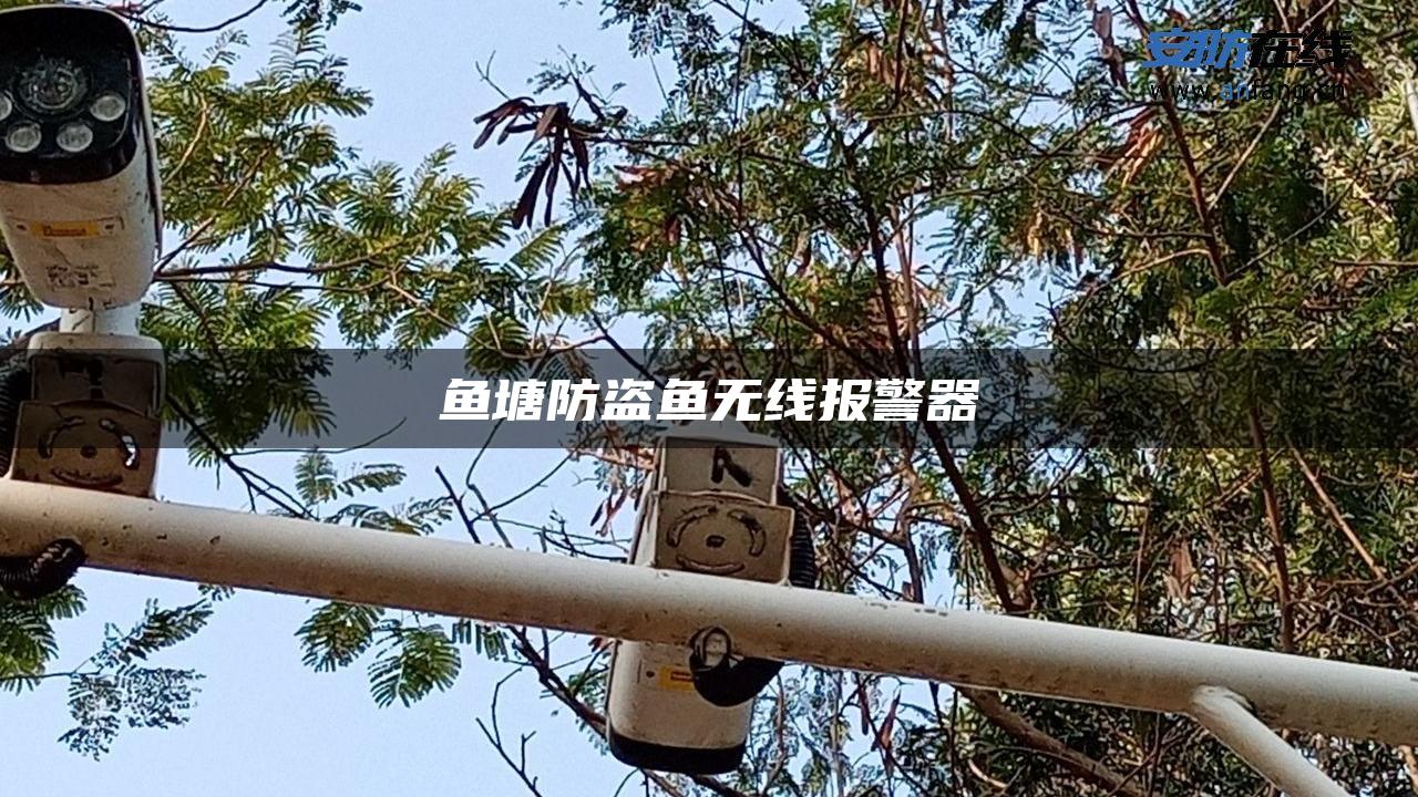 鱼塘防盗鱼无线报警器