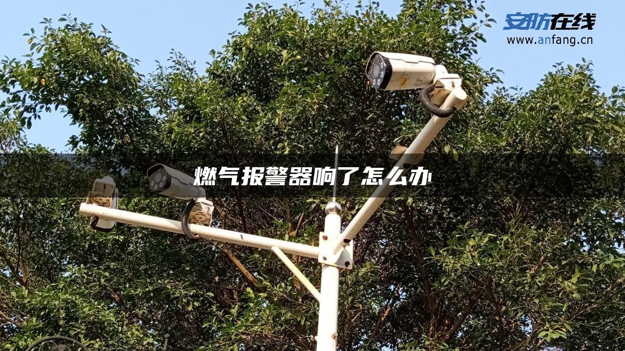 燃气报警器响了怎么办