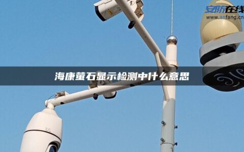 海康萤石显示检测中什么意思