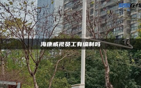 海康威视员工有编制吗