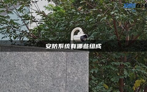 安防系统有哪些组成