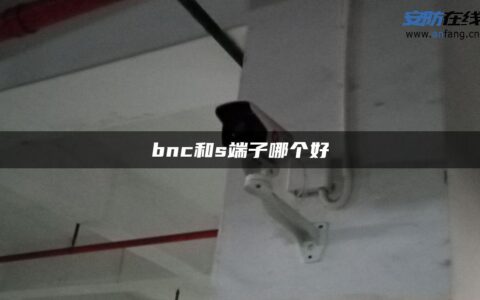 bnc和s端子哪个好