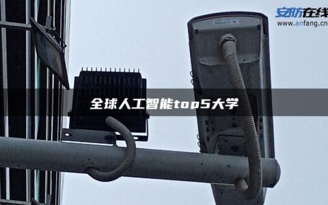 全球人工智能top5大学
