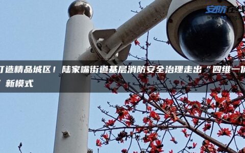 打造精品城区！陆家嘴街道基层消防安全治理走出“四维一体”新模式