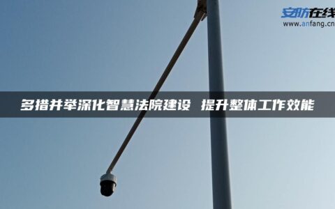 多措并举深化智慧法院建设 提升整体工作效能