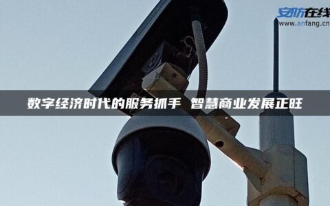 数字经济时代的服务抓手 智慧商业发展正旺