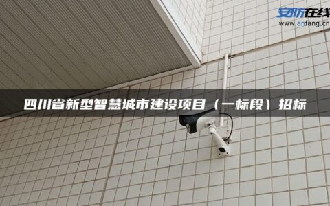 四川省新型智慧城市建设项目（一标段）招标