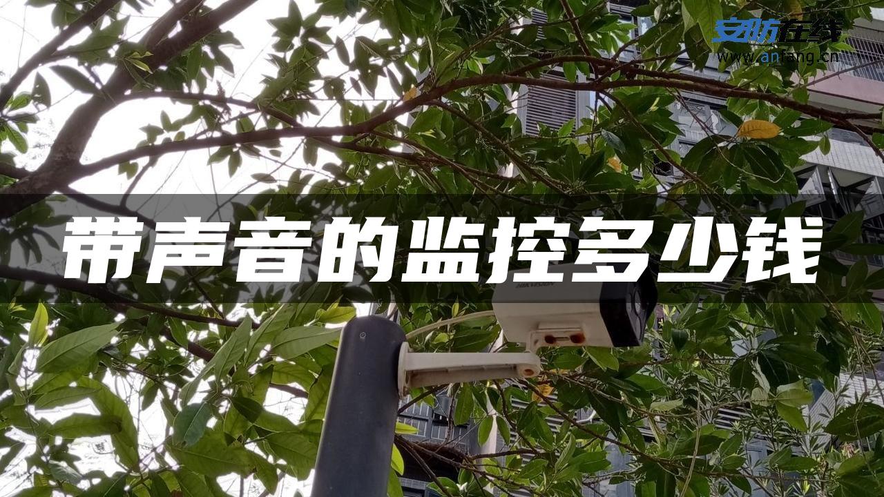 带声音的监控多少钱