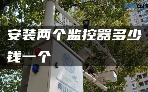 安装两个监控器多少钱一个