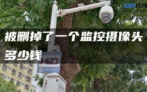 被删掉了一个监控摄像头多少钱