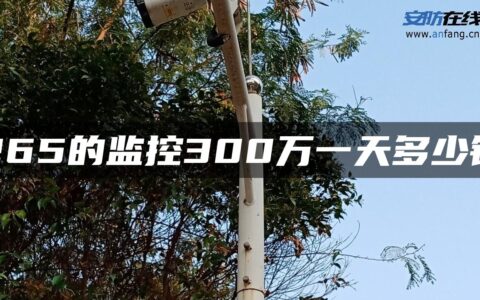 265的监控300万一天多少钱