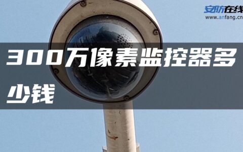 300万像素监控器多少钱