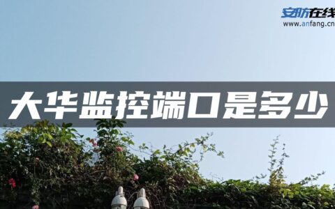 大华监控端口是多少