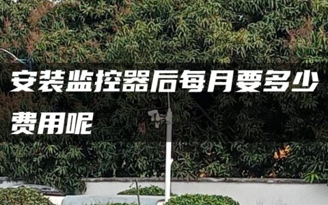安装监控器后每月要多少费用呢