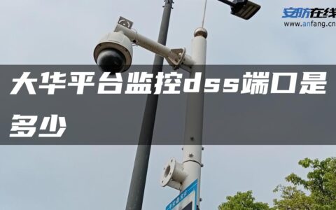 大华平台监控dss端口是多少