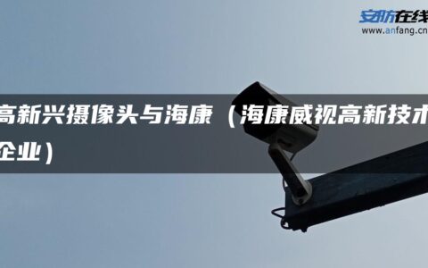 高新兴摄像头与海康（海康威视高新技术企业）