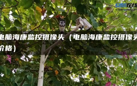 电脑海康监控摄像头（电脑海康监控摄像头价格）