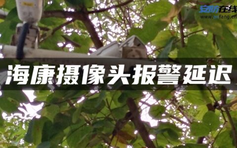 海康摄像头报警延迟