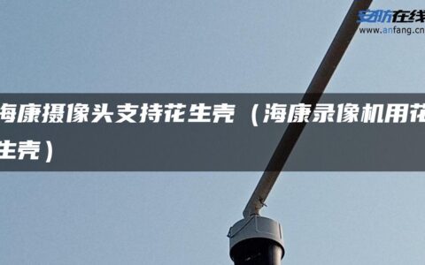 海康摄像头支持花生壳（海康录像机用花生壳）