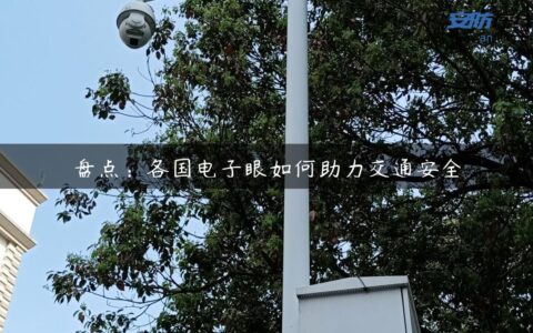 盘点：各国电子眼如何助力交通安全