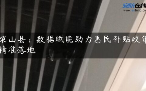 梁山县：数据赋能助力惠民补贴政策精准落地