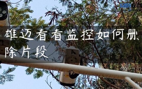 雄迈看看监控如何删除片段