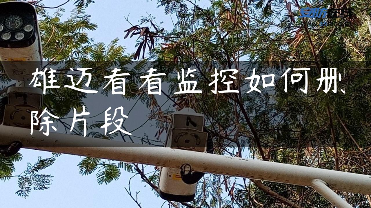 雄迈看看监控如何删除片段 雄迈看看监控如何删除片段
